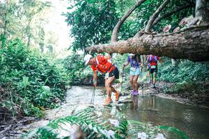 BIB: 
                            <button type="button" onclick="openModal(25439182)" class="btn btn-primary btn-sm float-right btn-popup" data-toggle="modal" data-target=".modal-high-quality">
                        <i class="fas fa-shopping-cart"></i> Add to Cart
                    </button>
                                            <button type="button" onclick="isThisMe(25439182, true)" class="btn btn-success btn-sm float-right btn-popup btn-isme hidden" data-toggle="tooltip" data-placement="bottom" title="นี่คือรูปของคุณใช่ไหม คลิกที่นี่เพื่อเอาเข้าอัลบั้ม">
                        <i class="fas fa-plus"></i> Add to album
                    </button>
                    <button type="button" onclick="isThisMe(25439182, false)" class="btn btn-warning btn-sm float-right btn-popup btn-isnotme hidden">
                        <i class="fas fa-ban"></i> Remove from album
                    </button>